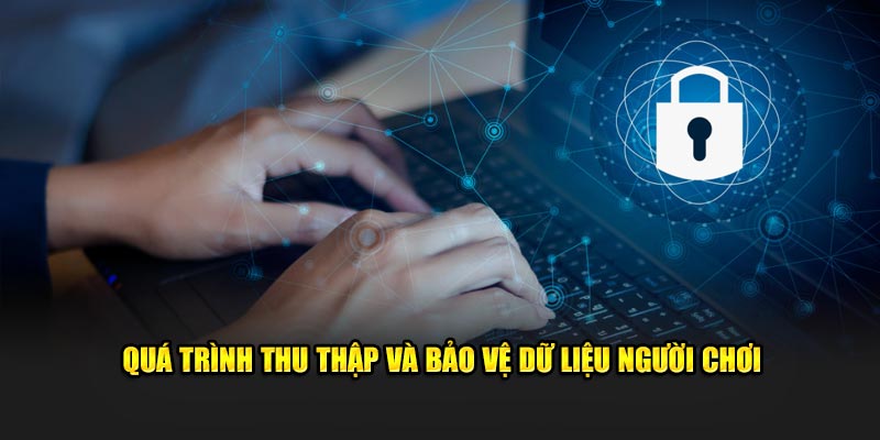 Quy trình thu thập và bảo vệ dữ liệu người tham gia 